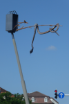 Schlangenskulptur